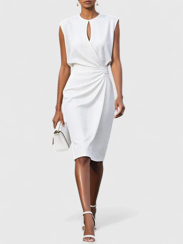 Lisandrah Sophisticated Dress 1