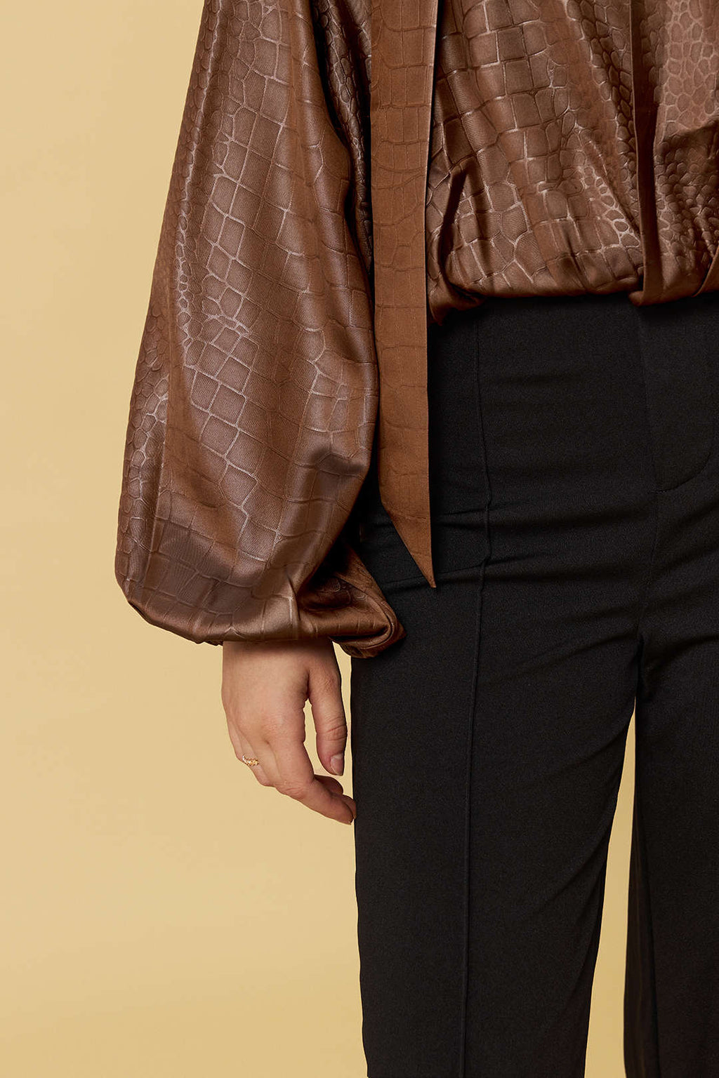 Alexia | Satin Long-Sleeve