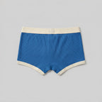 Zest trunk back view