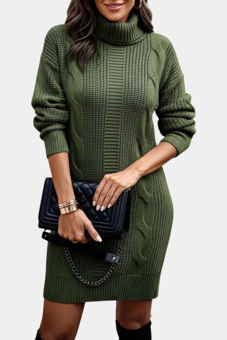 Elinora Cozy Knit Turtleneck Sweater Dress – front view