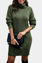 Elinora Cozy Knit Turtleneck Sweater Dress – front view
