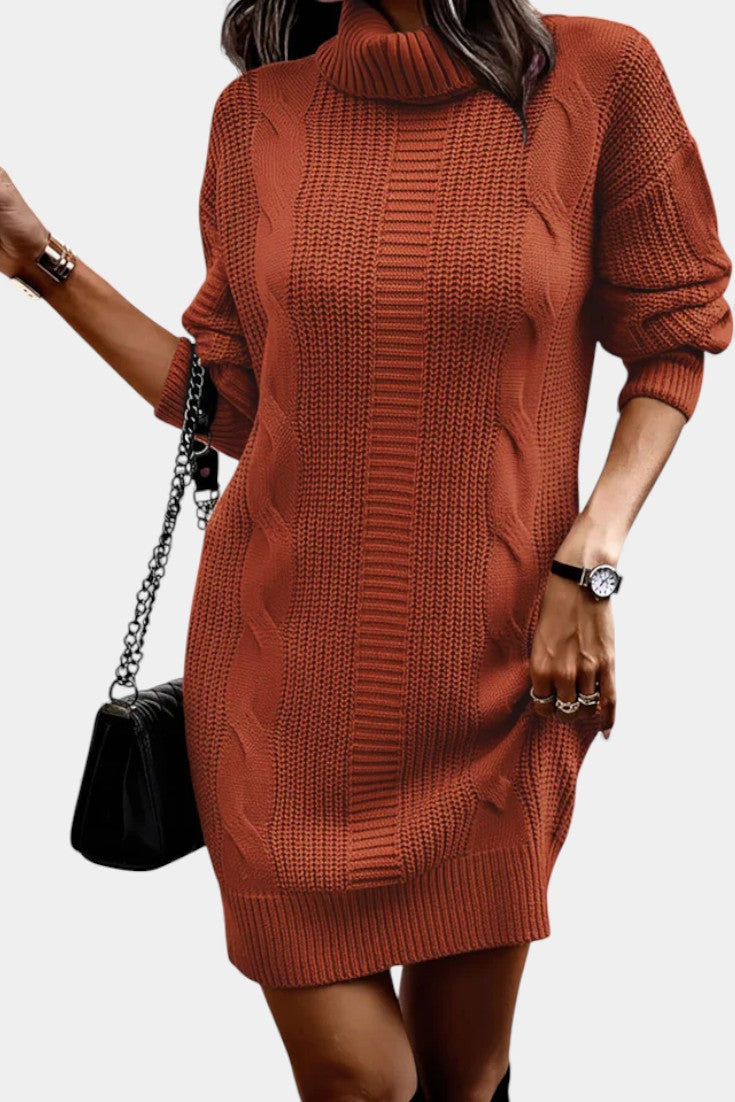 Elinora cozy knit turtleneck sweater dress, full-length view