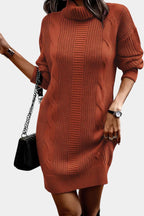Elinora cozy knit turtleneck sweater dress, full-length view