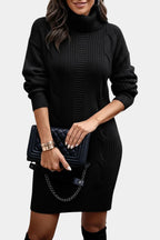 Elinora Cozy Knit Turtleneck Sweater Dress – back view