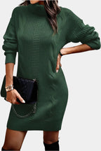 Elinora cozy knit turtleneck sweater dress, styled for daytime