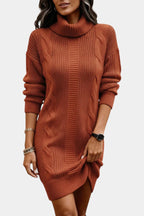 Elinora Cozy Knit Turtleneck Sweater Dress – styled view