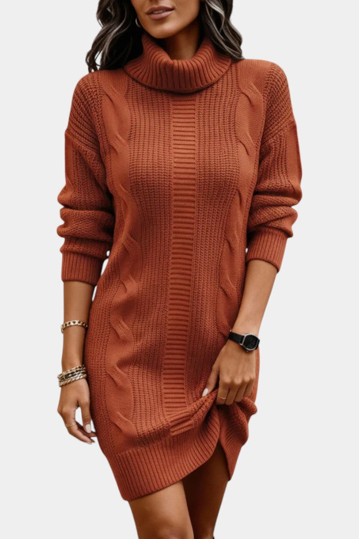 Elinora Cozy Knit Turtleneck Sweater Dress – styled view