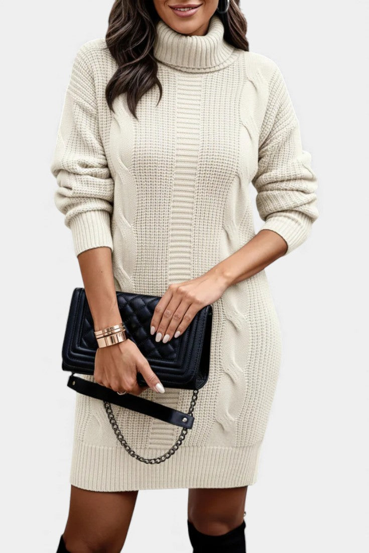 Elinora Cozy Knit Turtleneck Sweater Dress – side view