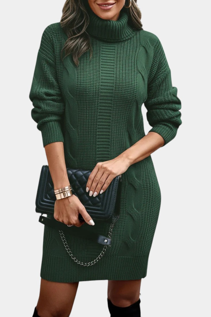 Elinora Cozy Knit Turtleneck Sweater Dress – close-up
