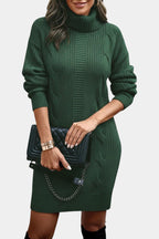 Elinora Cozy Knit Turtleneck Sweater Dress – close-up