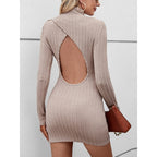 Oriel | Ribbed Turtleneck Mini Dress – back view