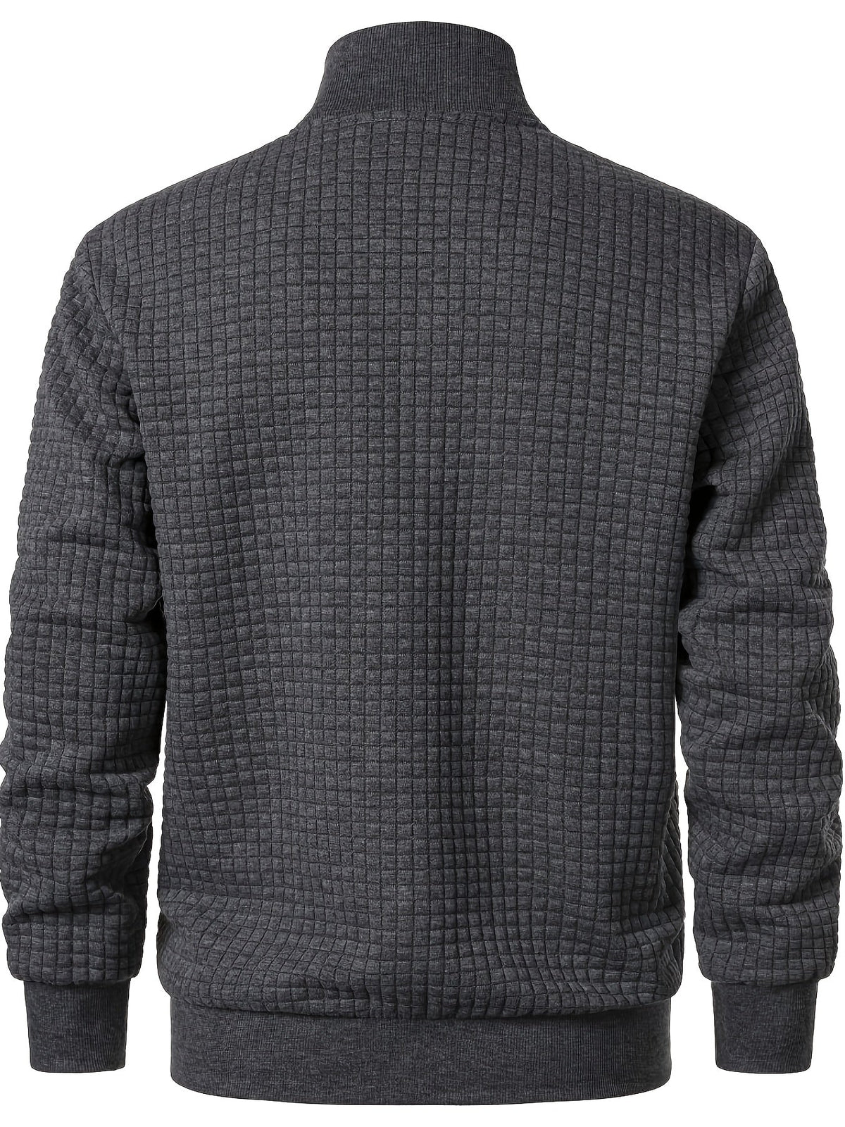 Sullivan | Textured Stand-Collar Jacket – back view