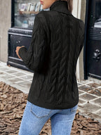 Xanthe | Cable-Knit Turtleneck Sweater – Black back view