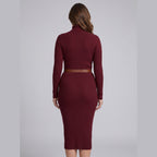 Ysolde | Stretch Ribbed Turtleneck Dress – back view